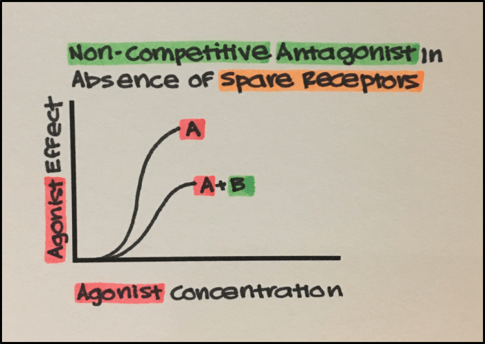 8. Two Main Classes of Receptor Ligands in Pharmacology: Agonists ...